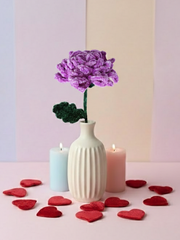 The Timeless Rose Collection