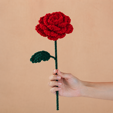 The Timeless Rose Collection