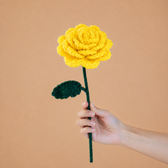 The Timeless Rose Collection