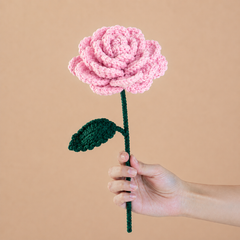 The Timeless Rose Collection