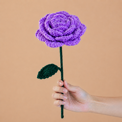 The Timeless Rose Collection