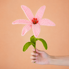 Everlasting Lily (1 Flower)