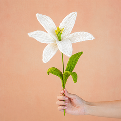 Everlasting Lily (1 Flower)