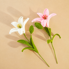 Everlasting Lily (1 Flower)