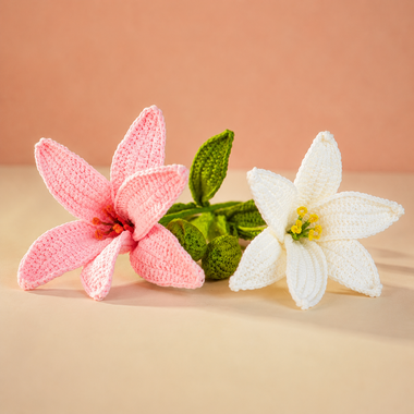 Everlasting Lily (1 Flower)